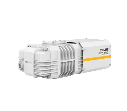 VBP 100-300s Roots Vacuum Pump