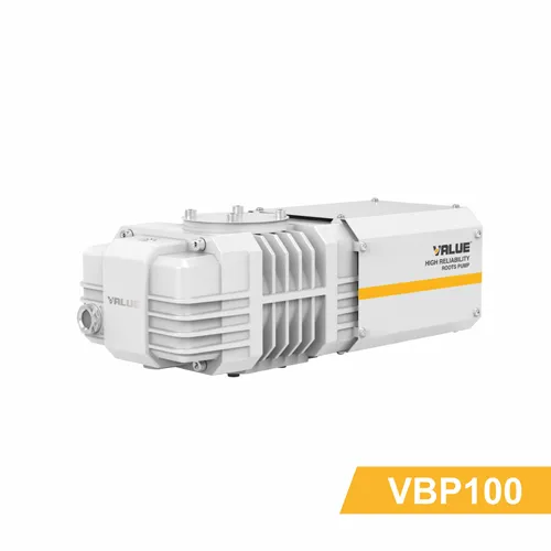 VBP 100-300s Roots Vacuum Pump