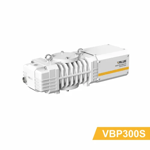 VBP 100-300s Roots Vacuum Pump