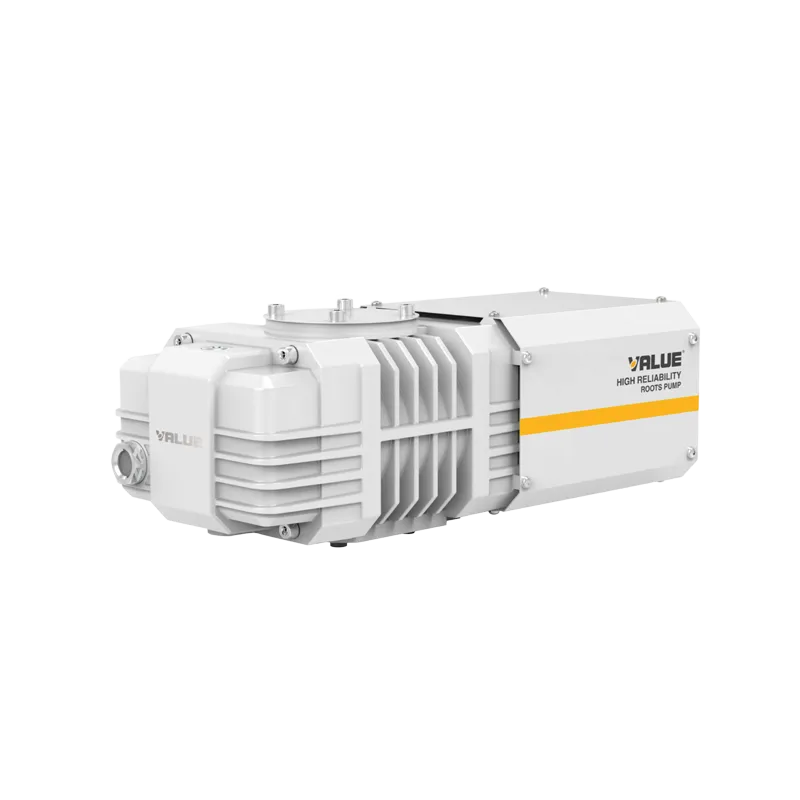 VBP 100-300s Roots Vacuum Pump